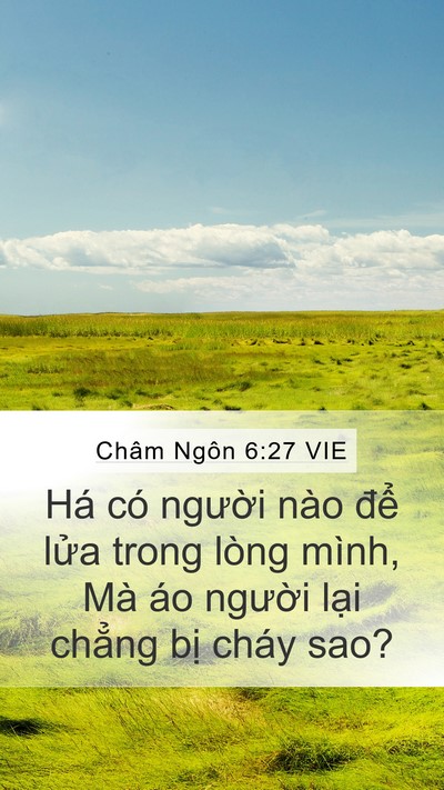 Châm Ngôn 6:27 VIE Bible Verse Image