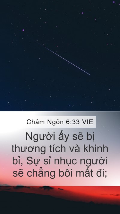 Châm Ngôn 6:33 VIE Bible Verse Image