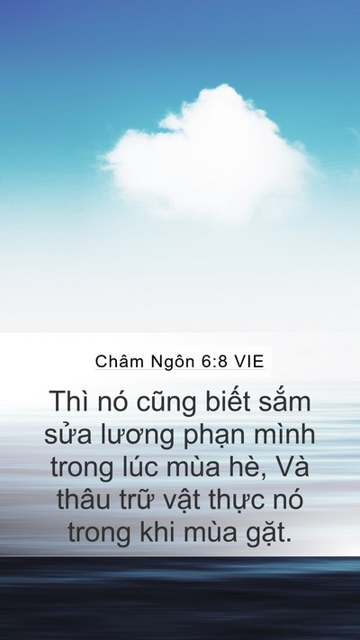 Châm Ngôn 6:8 VIE Mobile Phone Wallpaper - Thì nó cũng biết sắm sửa lương phạn - Mobile Bible Verse Wallpaper