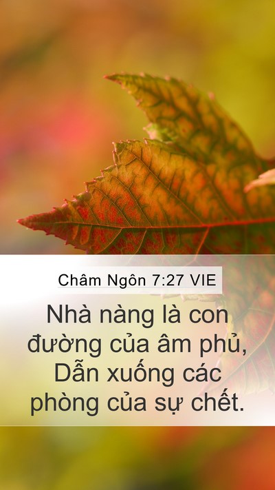 Châm Ngôn 7:27 VIE Bible Verse Image