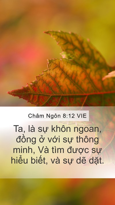 Châm Ngôn 8:12 VIE Bible Verse Image