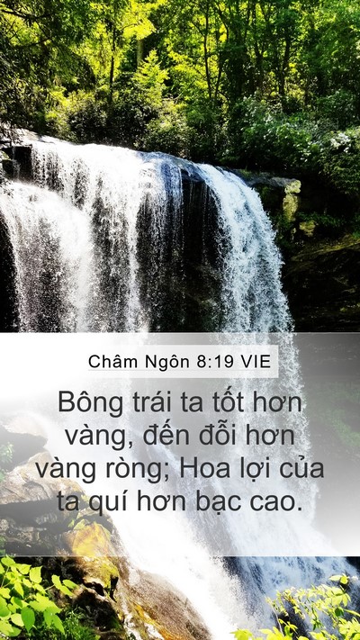 Châm Ngôn 8:19 VIE Bible Verse Image