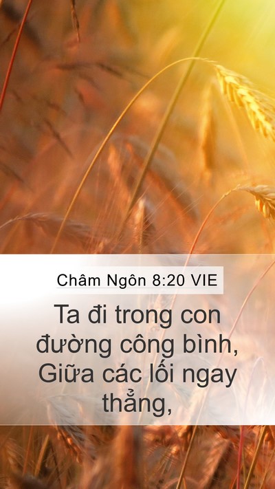 Châm Ngôn 8:20 VIE Bible Verse Image