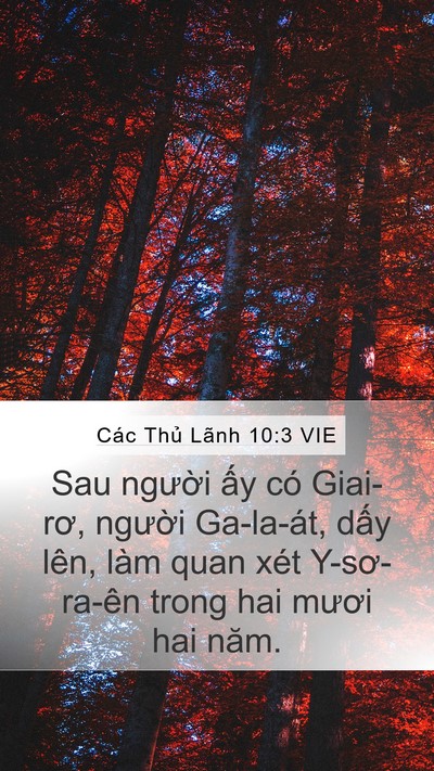 Các Thủ Lãnh 10:3 VIE Mobile Phone Wallpaper - Sau người ấy có Giai-rơ, người - Mobile Bible Verse Wallpaper