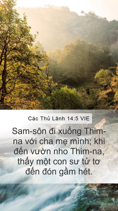 Các Thủ Lãnh 14:5 VIE Bible Verse Image
