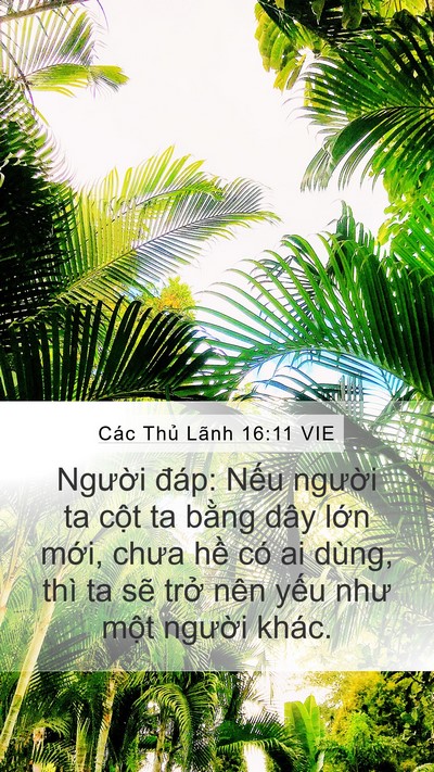 Các Thủ Lãnh 16:11 VIE Mobile Phone Wallpaper - Người đáp: Nếu người ta cột ta bằng - Mobile Bible Verse Wallpaper
