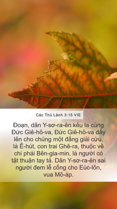 Các Thủ Lãnh 3:15 VIE Bible Verse Image