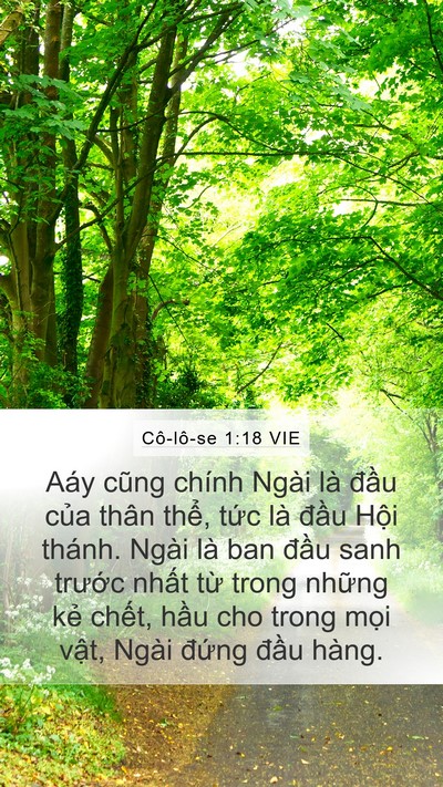Cô-lô-se 1:18 VIE Bible Verse Image