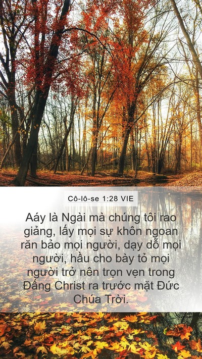 Cô-lô-se 1:28 VIE Mobile Phone Wallpaper - Aáy là Ngài mà chúng tôi rao giảng, lấy - Mobile Bible Verse Wallpaper