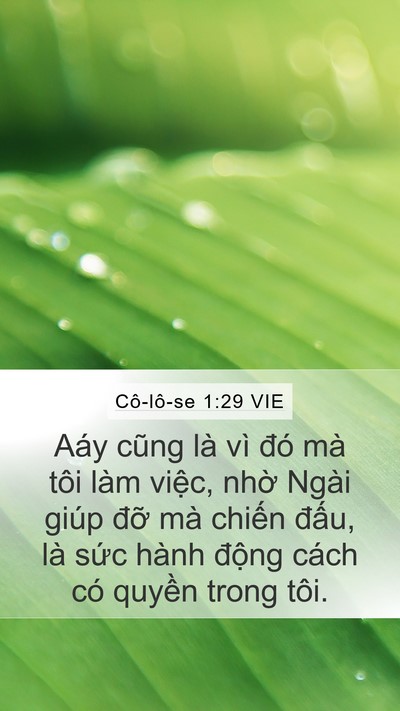 Cô-lô-se 1:29 VIE Mobile Phone Wallpaper - Aáy cũng là vì đó mà tôi làm việc, - Mobile Bible Verse Wallpaper