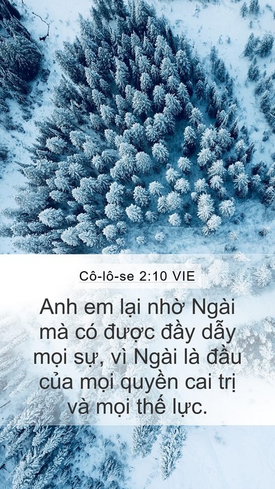 Cô-lô-se 2:10 VIE Bible Verse Image