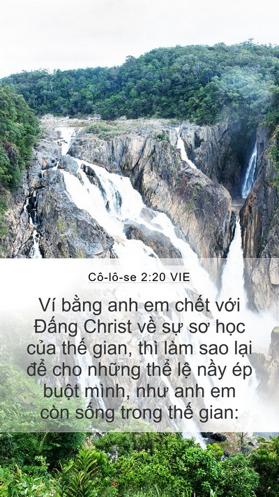 Cô-lô-se 2:20 VIE Bible Verse Image