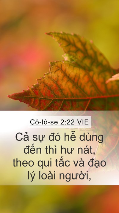 Cô-lô-se 2:22 VIE Bible Verse Image