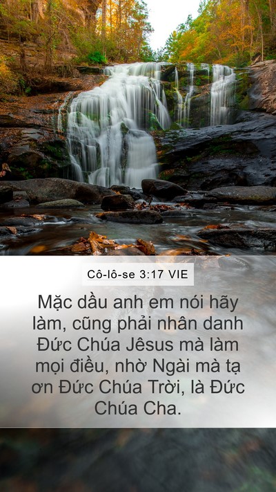 Cô-lô-se 3:17 VIE Bible Verse Image