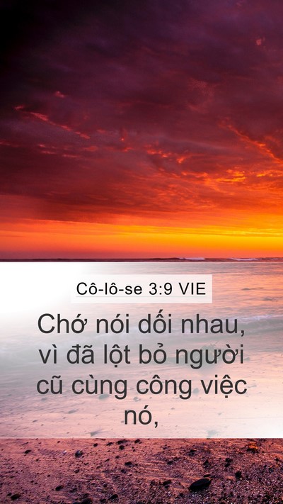 Cô-lô-se 3:9 VIE Bible Verse Image