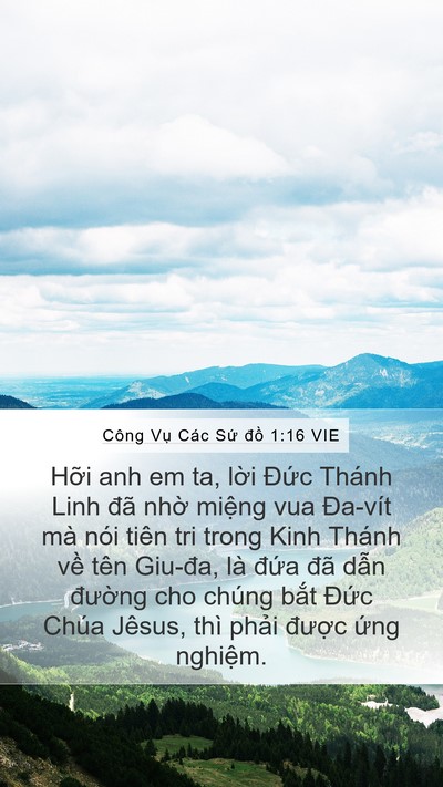 Công Vụ Các Sứ đồ 1:16 VIE Bible Verse Image
