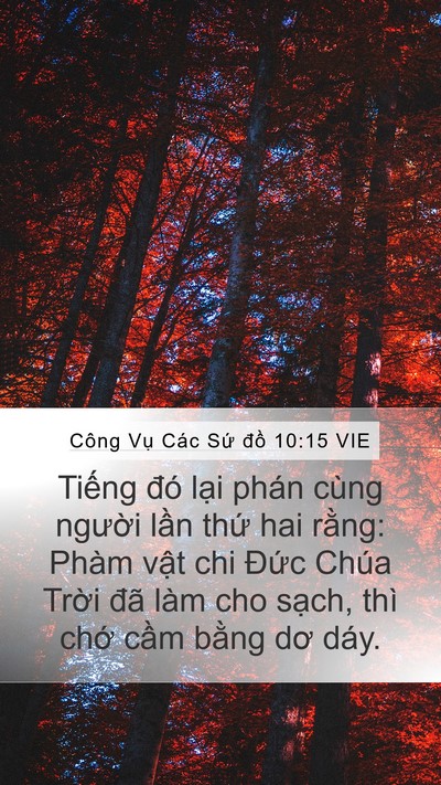 Công Vụ Các Sứ đồ 10:15 VIE Bible Verse Image