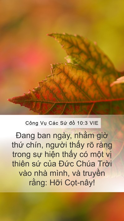 Công Vụ Các Sứ đồ 10:3 VIE Bible Verse Image