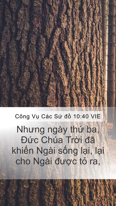 Công Vụ Các Sứ đồ 10:40 VIE Bible Verse Image