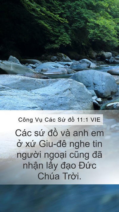 Công Vụ Các Sứ đồ 11:1 VIE Mobile Phone Wallpaper - Các sứ đồ và anh em ở xứ Giu-đê nghe - Mobile Bible Verse Wallpaper