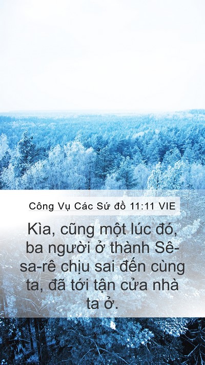 Công Vụ Các Sứ đồ 11:11 VIE Mobile Phone Wallpaper - Kìa, cũng một lúc đó, ba người ở - Mobile Bible Verse Wallpaper