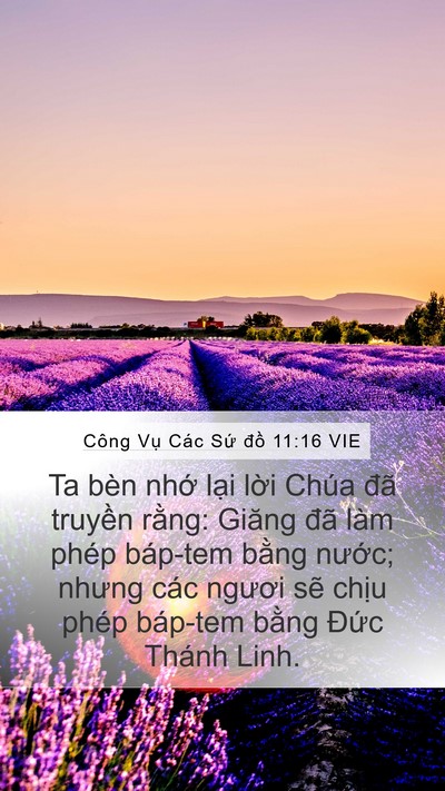 Công Vụ Các Sứ đồ 11:16 VIE Bible Verse Image