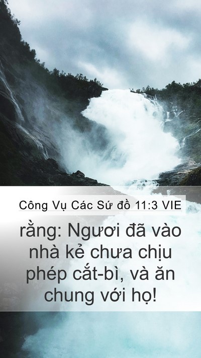 Công Vụ Các Sứ đồ 11:3 VIE Bible Verse Image