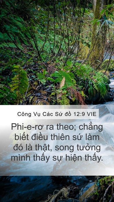 Công Vụ Các Sứ đồ 12:9 VIE Bible Verse Image