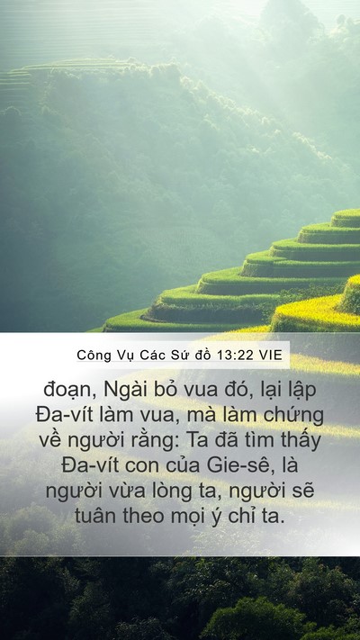 Công Vụ Các Sứ đồ 13:22 VIE Bible Verse Image