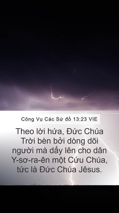 Công Vụ Các Sứ đồ 13:23 VIE Bible Verse Image