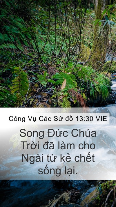Công Vụ Các Sứ đồ 13:30 VIE Bible Verse Image