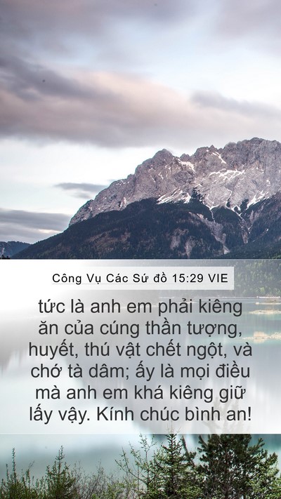 Công Vụ Các Sứ đồ 15:29 VIE Bible Verse Image