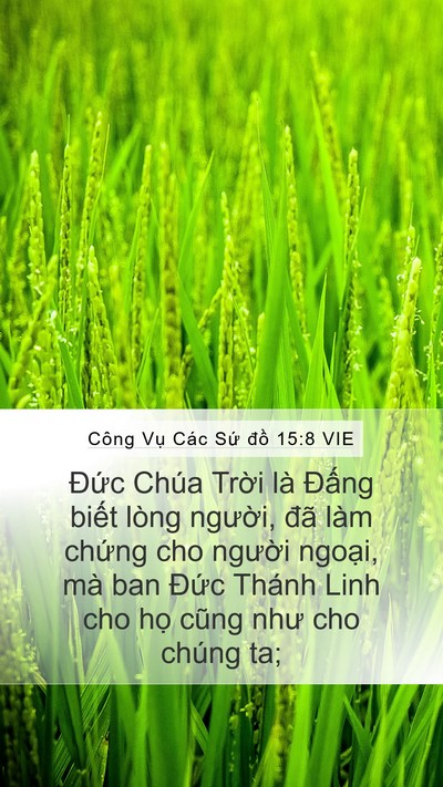 Công Vụ Các Sứ đồ 15:8 VIE Bible Verse Image