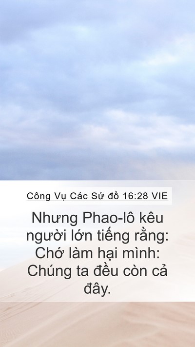 Công Vụ Các Sứ đồ 16:28 VIE Mobile Phone Wallpaper - Nhưng Phao-lô kêu người lớn tiếng - Mobile Bible Verse Wallpaper