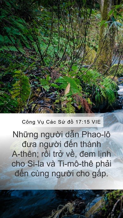 Công Vụ Các Sứ đồ 17:15 VIE Bible Verse Image