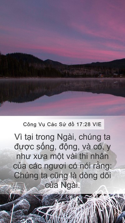 Công Vụ Các Sứ đồ 17:28 VIE Bible Verse Image