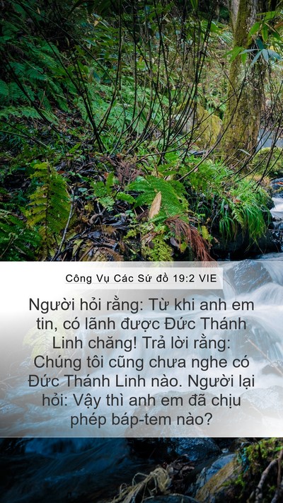 Công Vụ Các Sứ đồ 19:2 VIE Bible Verse Image