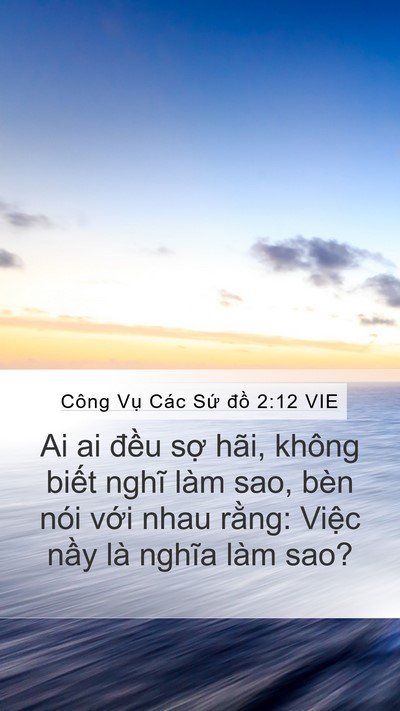 Công Vụ Các Sứ đồ 2:12 VIE Bible Verse Image
