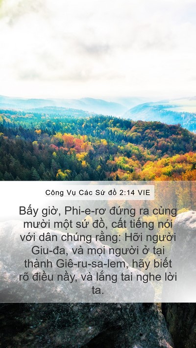 Công Vụ Các Sứ đồ 2:14 VIE Bible Verse Image