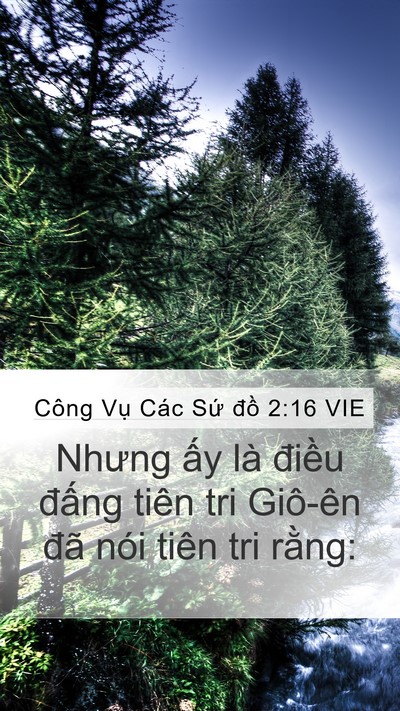 Công Vụ Các Sứ đồ 2:16 VIE Bible Verse Image