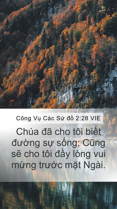 Công Vụ Các Sứ đồ 2:28 VIE Bible Verse Image