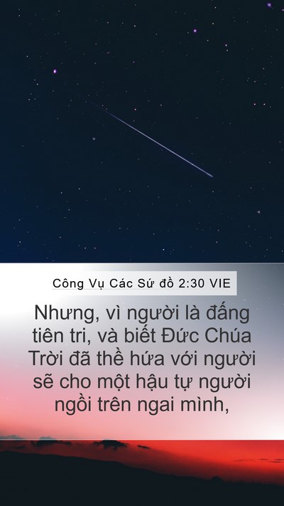 Công Vụ Các Sứ đồ 2:30 VIE Mobile Phone Wallpaper - Nhưng, vì người là đấng tiên tri, và - Mobile Bible Verse Wallpaper