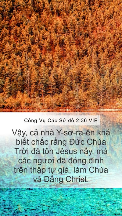 Công Vụ Các Sứ đồ 2:36 VIE Bible Verse Image