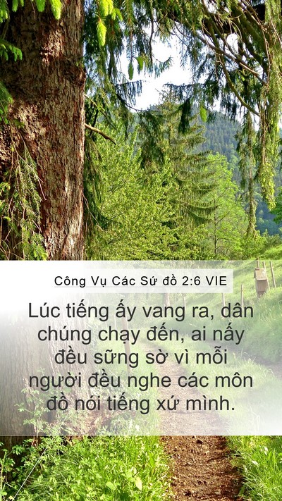 Công Vụ Các Sứ đồ 2:6 VIE Bible Verse Image