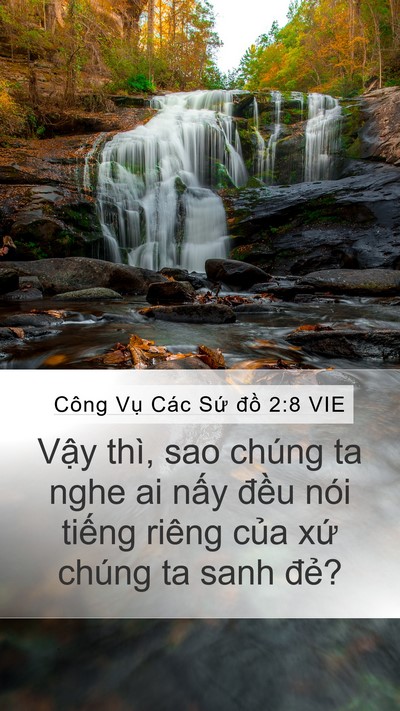 Công Vụ Các Sứ đồ 2:8 VIE Bible Verse Image