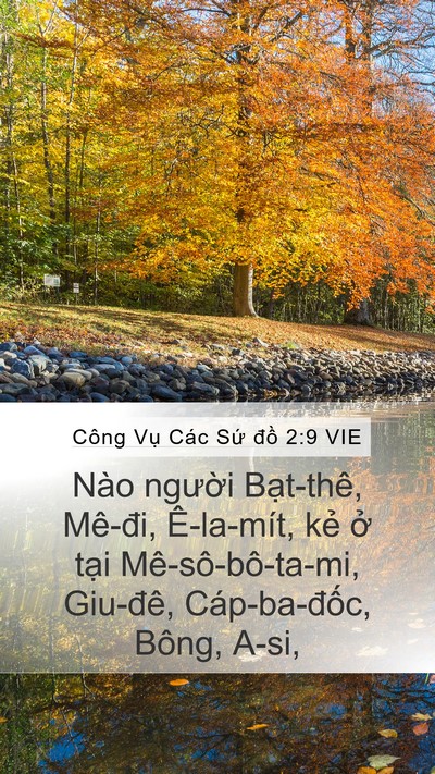 Công Vụ Các Sứ đồ 2:9 VIE Mobile Phone Wallpaper - Nào người Bạt-thê, Mê-đi, Ê-la-mít, - Mobile Bible Verse Wallpaper
