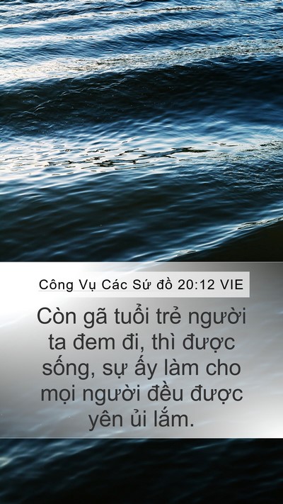 Công Vụ Các Sứ đồ 20:12 VIE Bible Verse Image