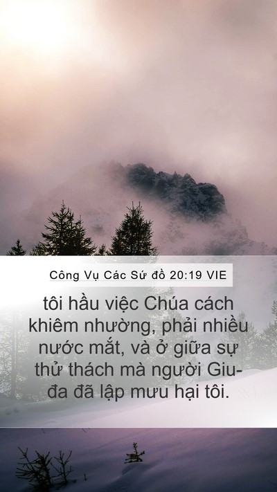 Công Vụ Các Sứ đồ 20:19 VIE Bible Verse Image
