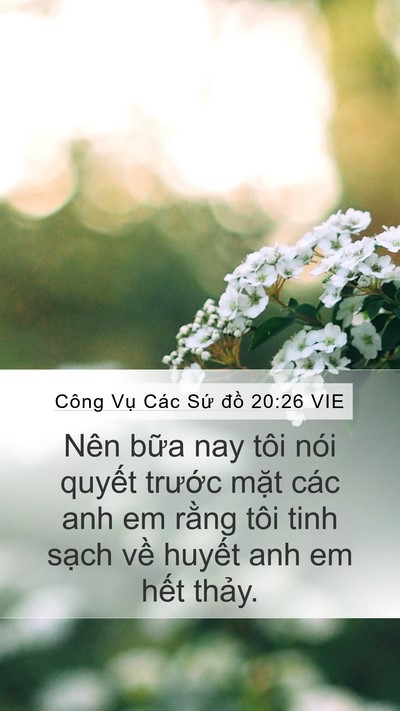 Công Vụ Các Sứ đồ 20:26 VIE Bible Verse Image