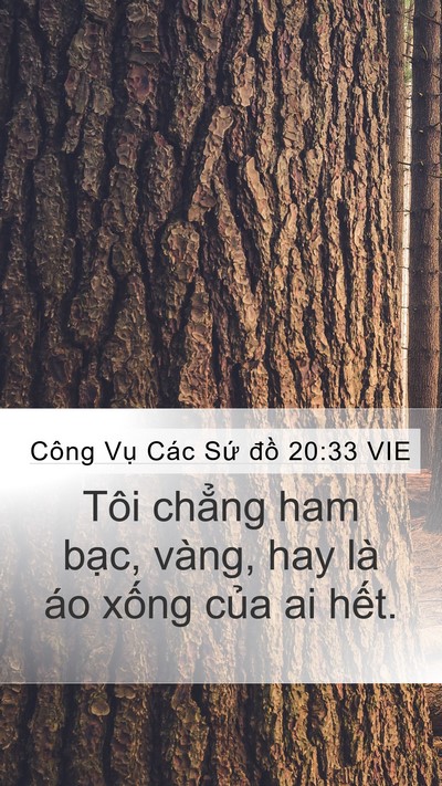 Công Vụ Các Sứ đồ 20:33 VIE Bible Verse Image